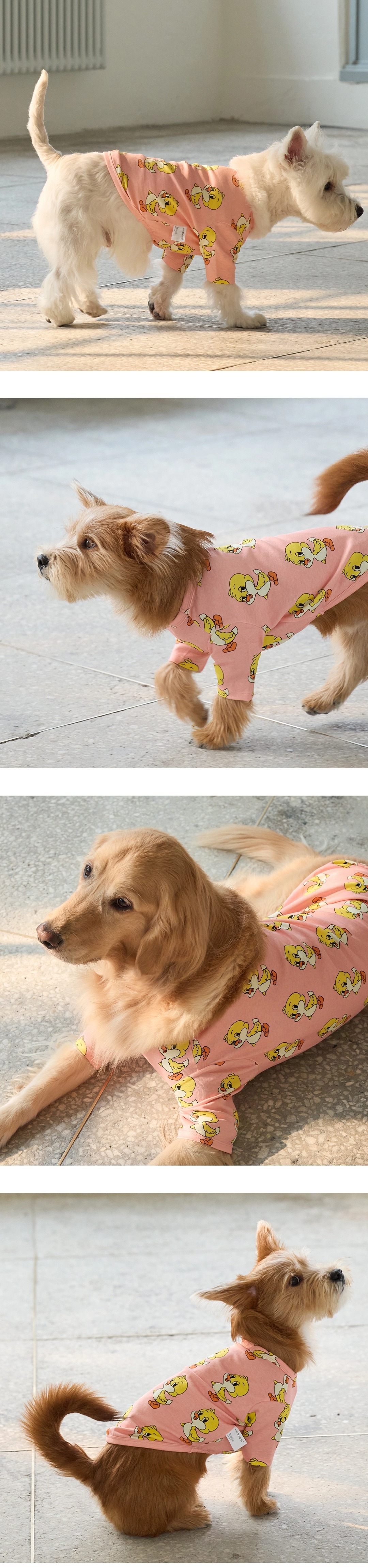 imgi_82_f8a8def843da8