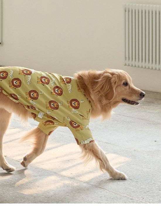  | 貝狗商行｜韓國寵物選品