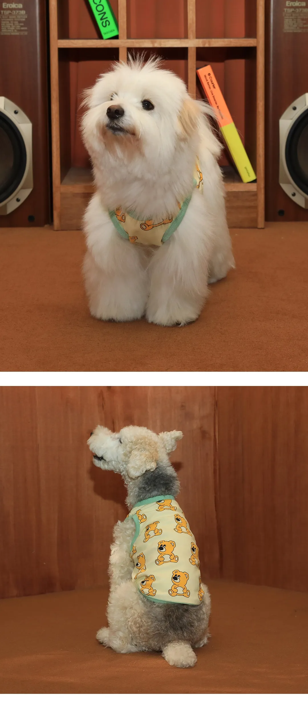 imgi_58_cc2b0bc6802f9