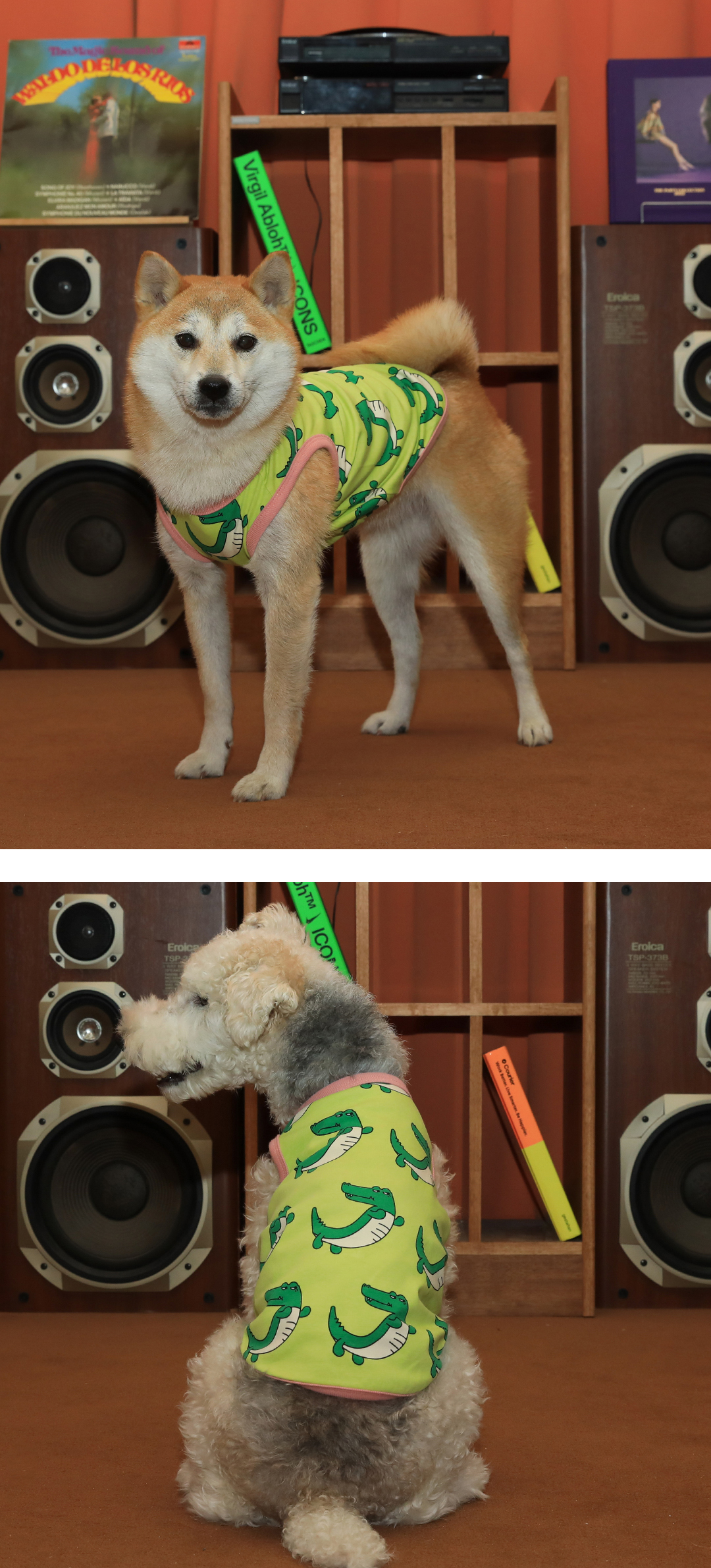 imgi_70_ba521e87b67a1