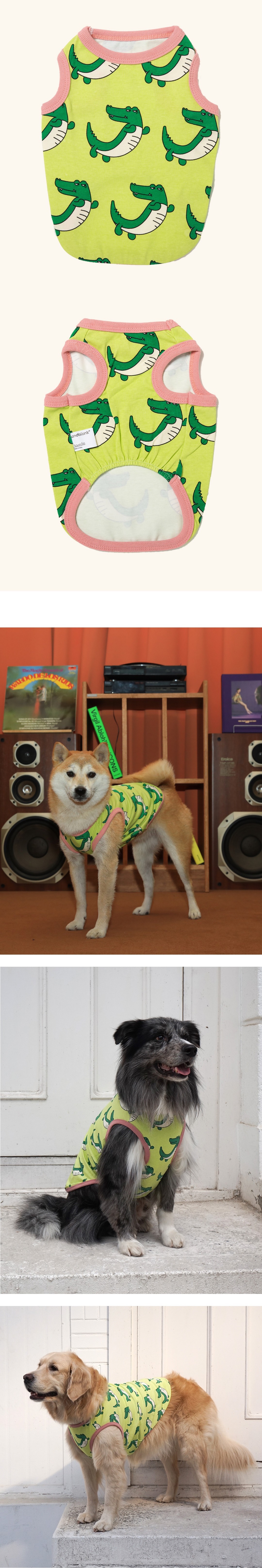 imgi_58_f84c951ba0844 (1)