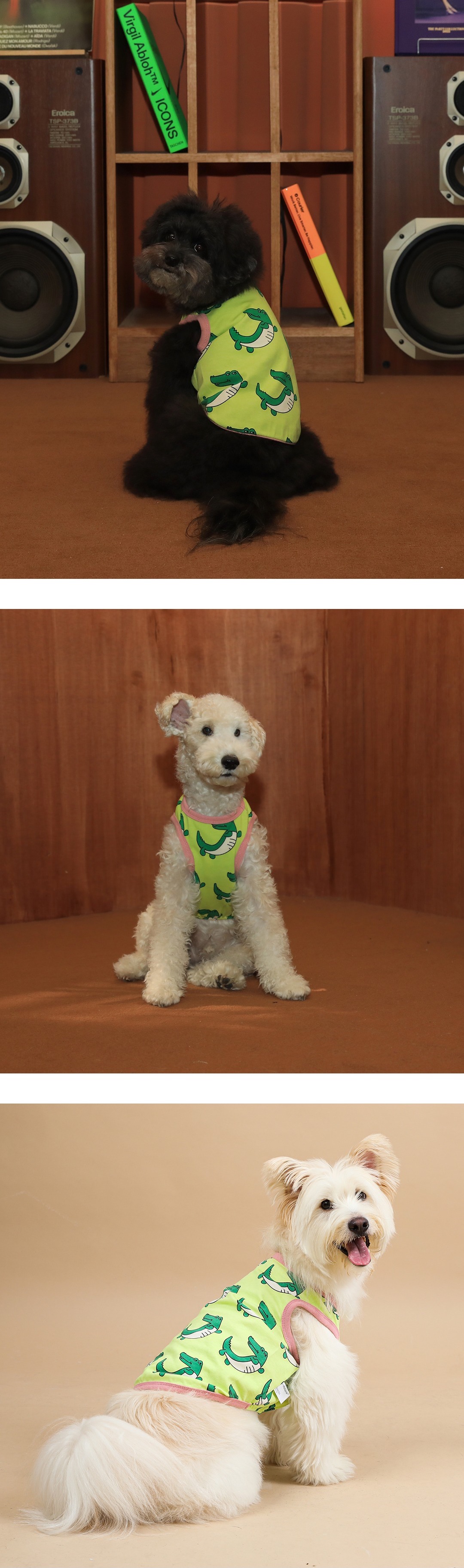 imgi_58_f84c951ba0844 (2)