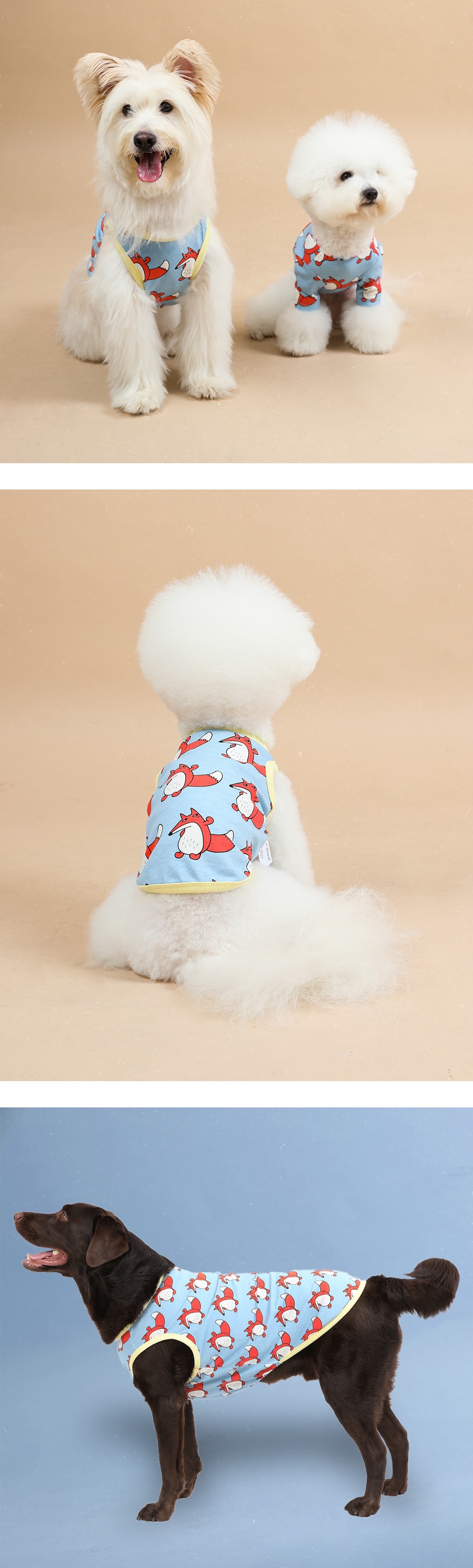 imgi_67_57a8975abc4b0拷貝3