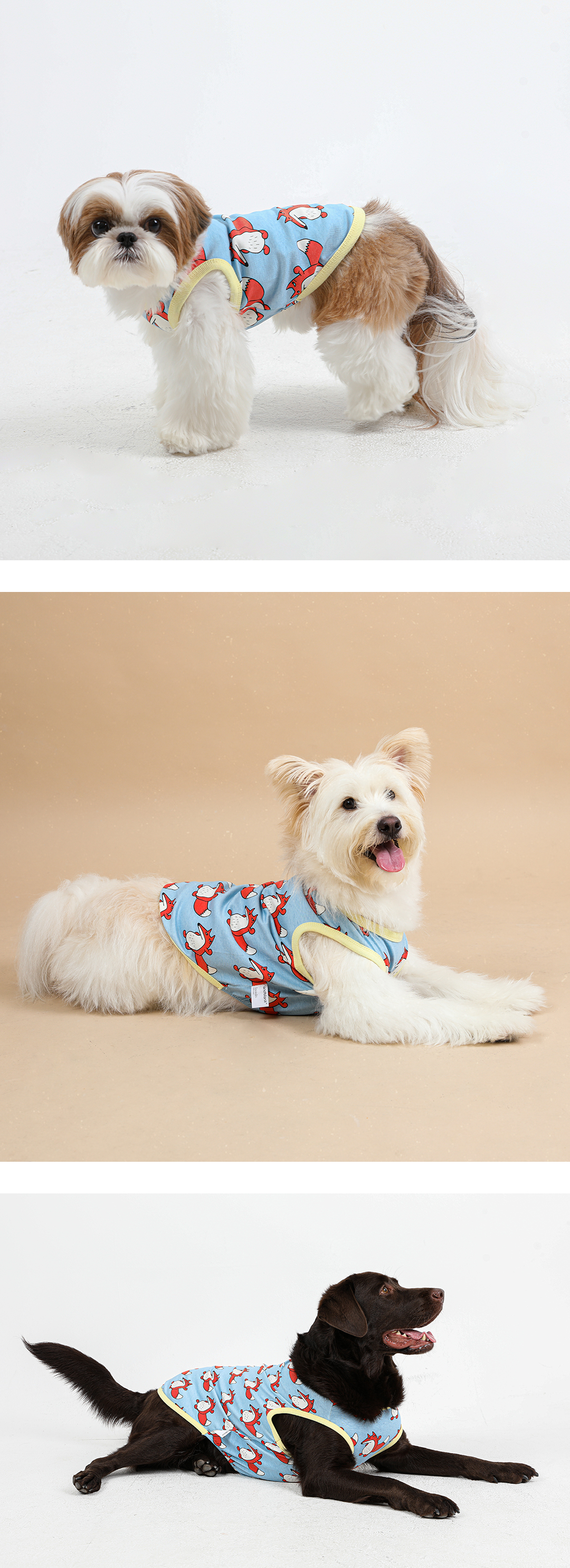 imgi_71_2de868db02caa