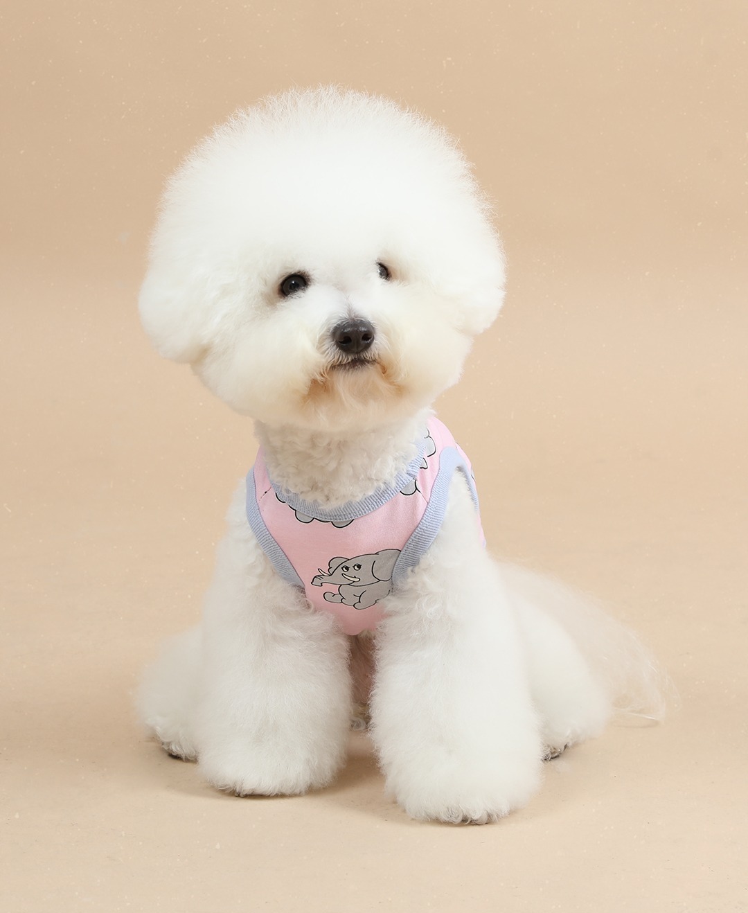 imgi_58_1ff6b98466205