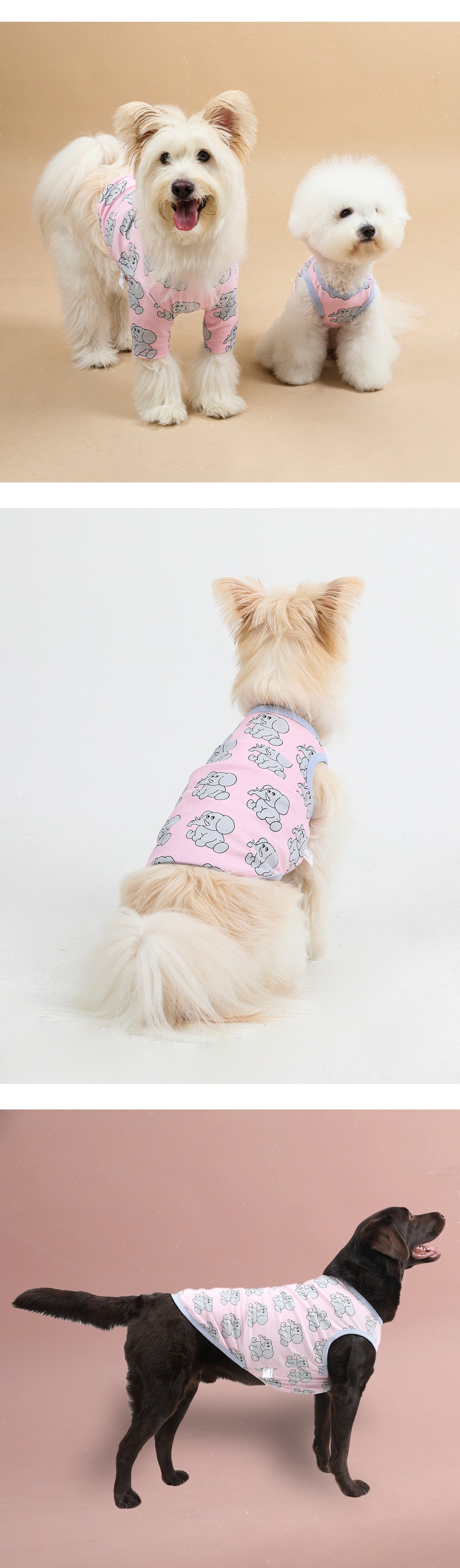 imgi_58_1ff6b98466205拷貝2