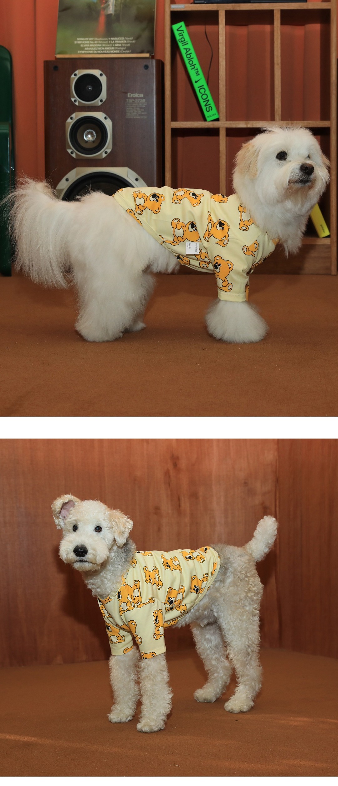 imgi_72_b9038cc4bc73e