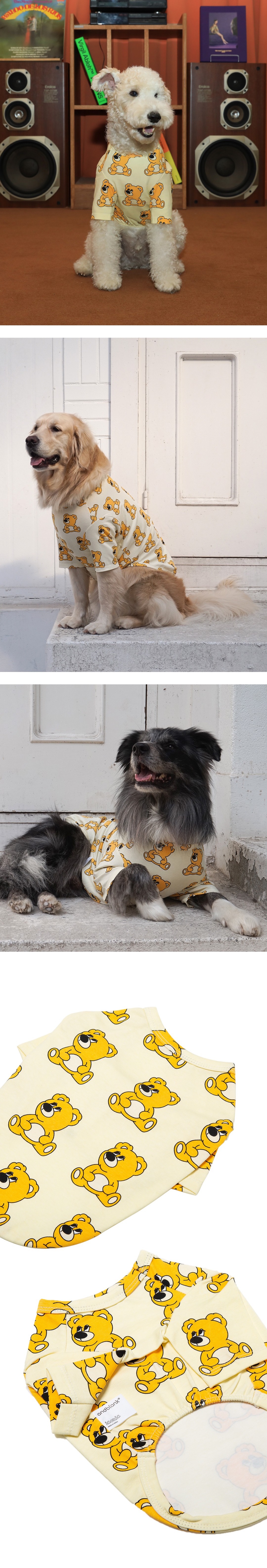 imgi_70_e4ef2ae901cda