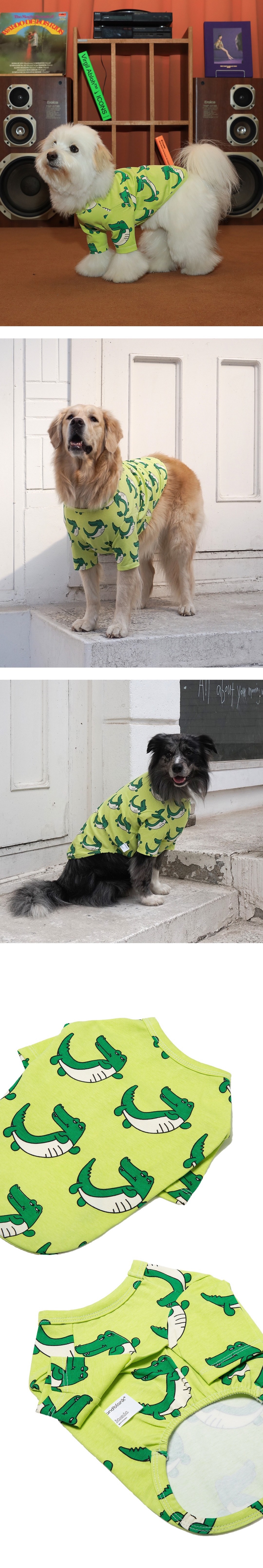 imgi_58_acf79ab650af6