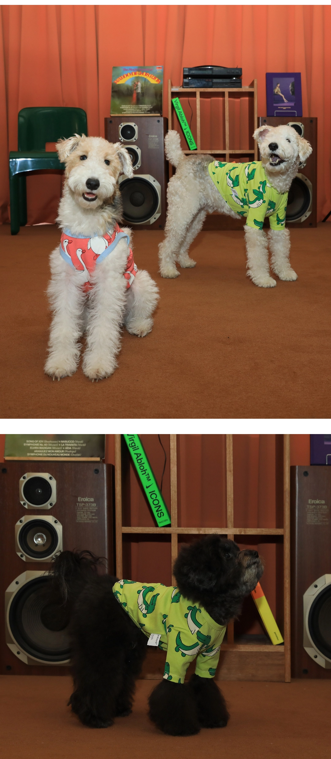 imgi_51_3f4e2b4cc8690