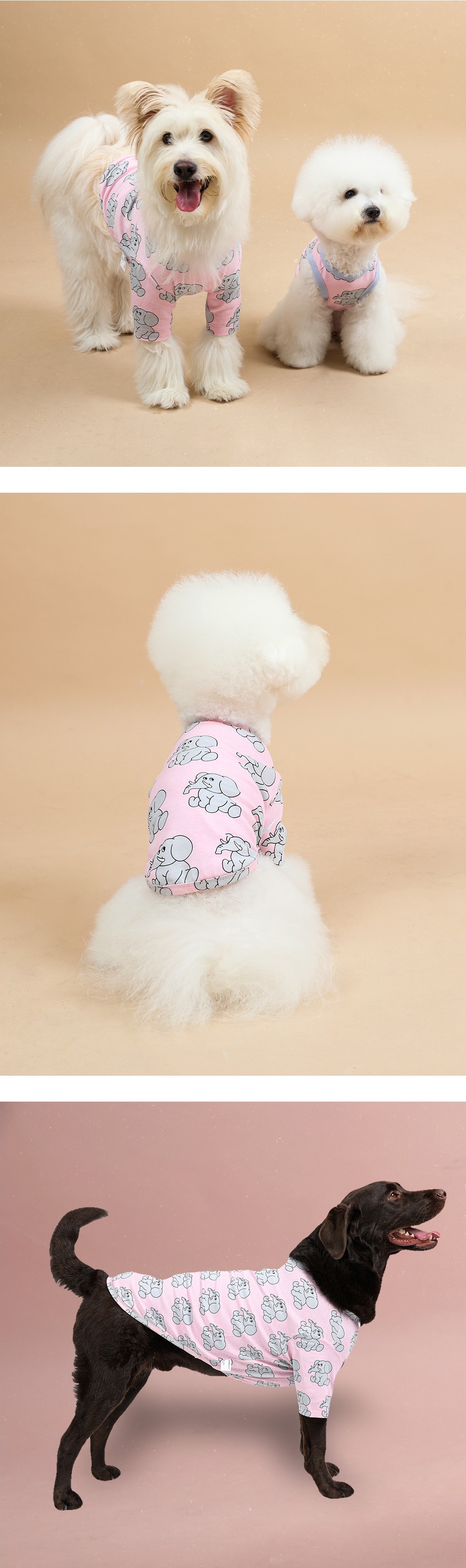 imgi_67_3ac43fd110ae7拷貝