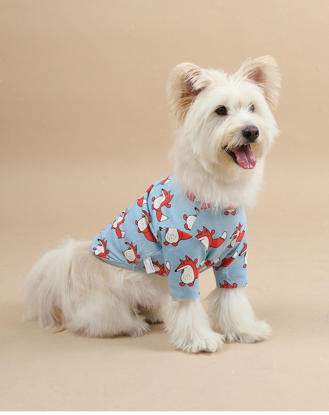 imgi_65_b8d30f2c7547c