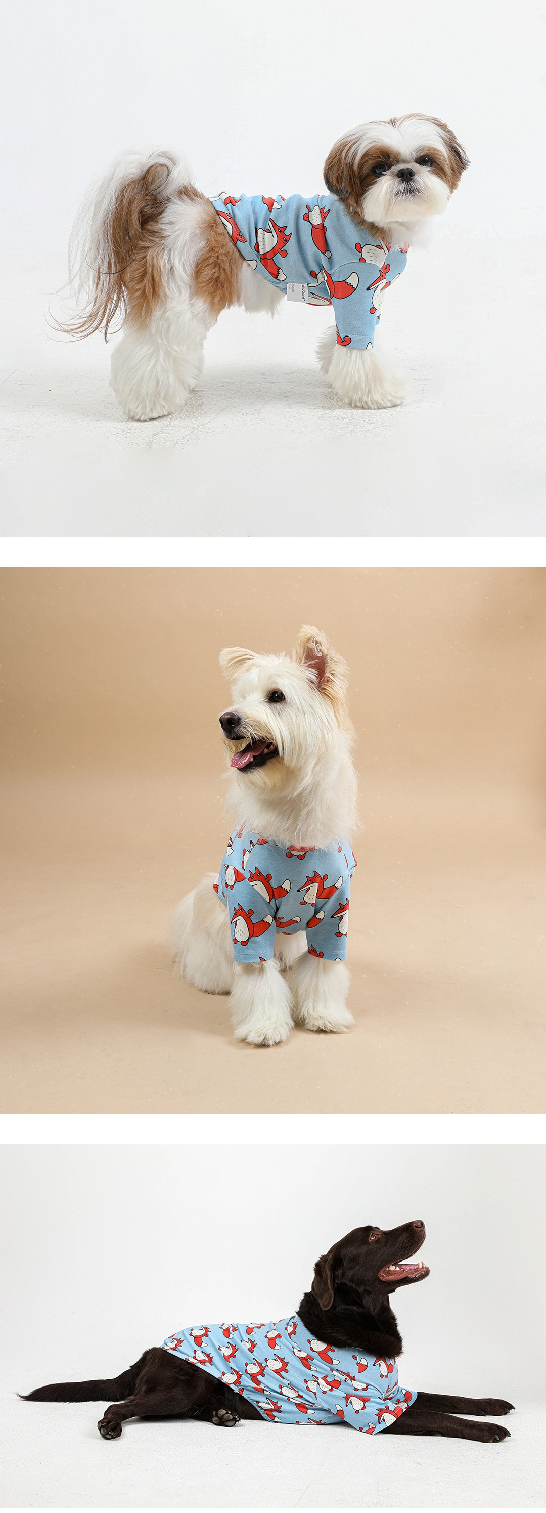 imgi_58_706fd600aa8ed