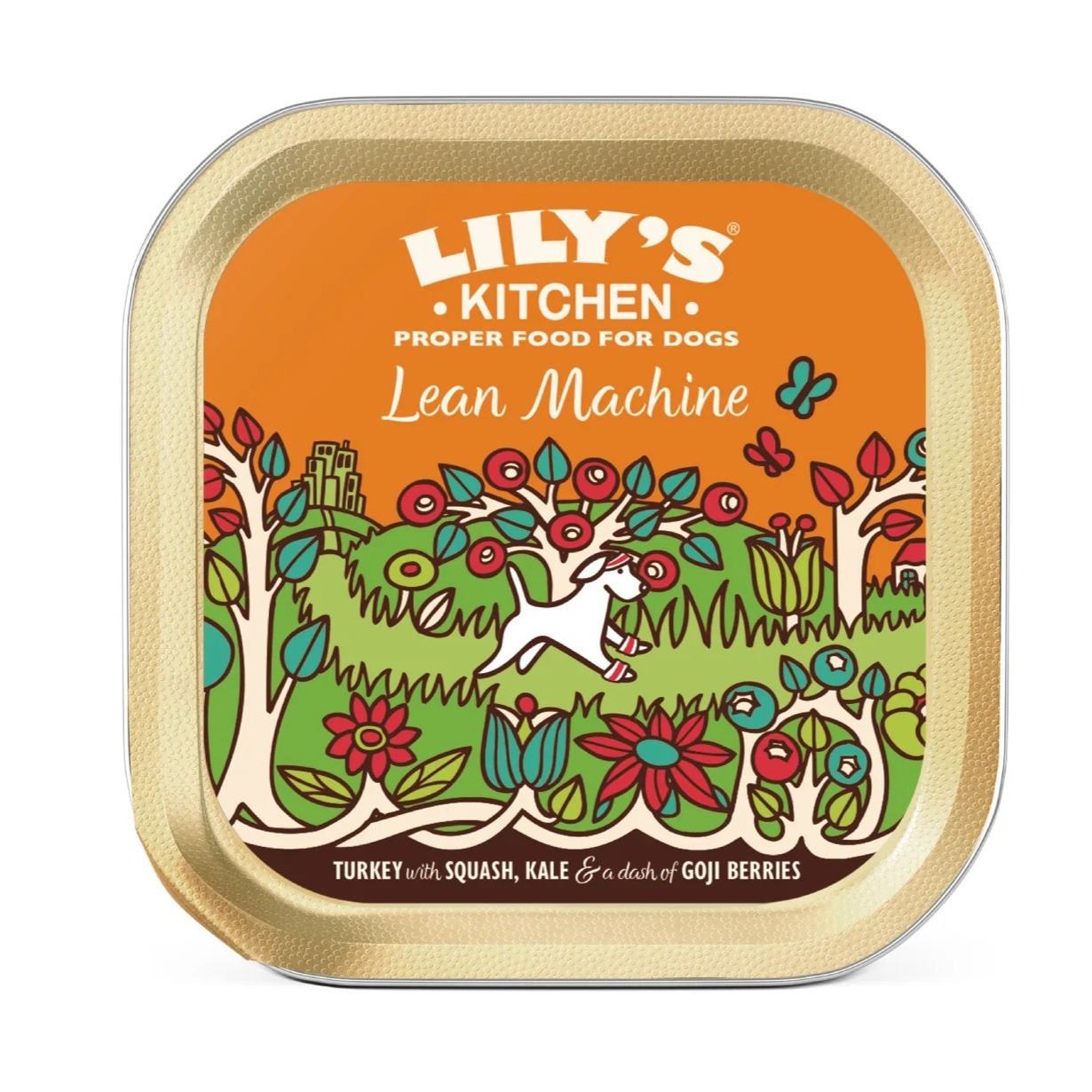 imgi_8_LeanMachine-0