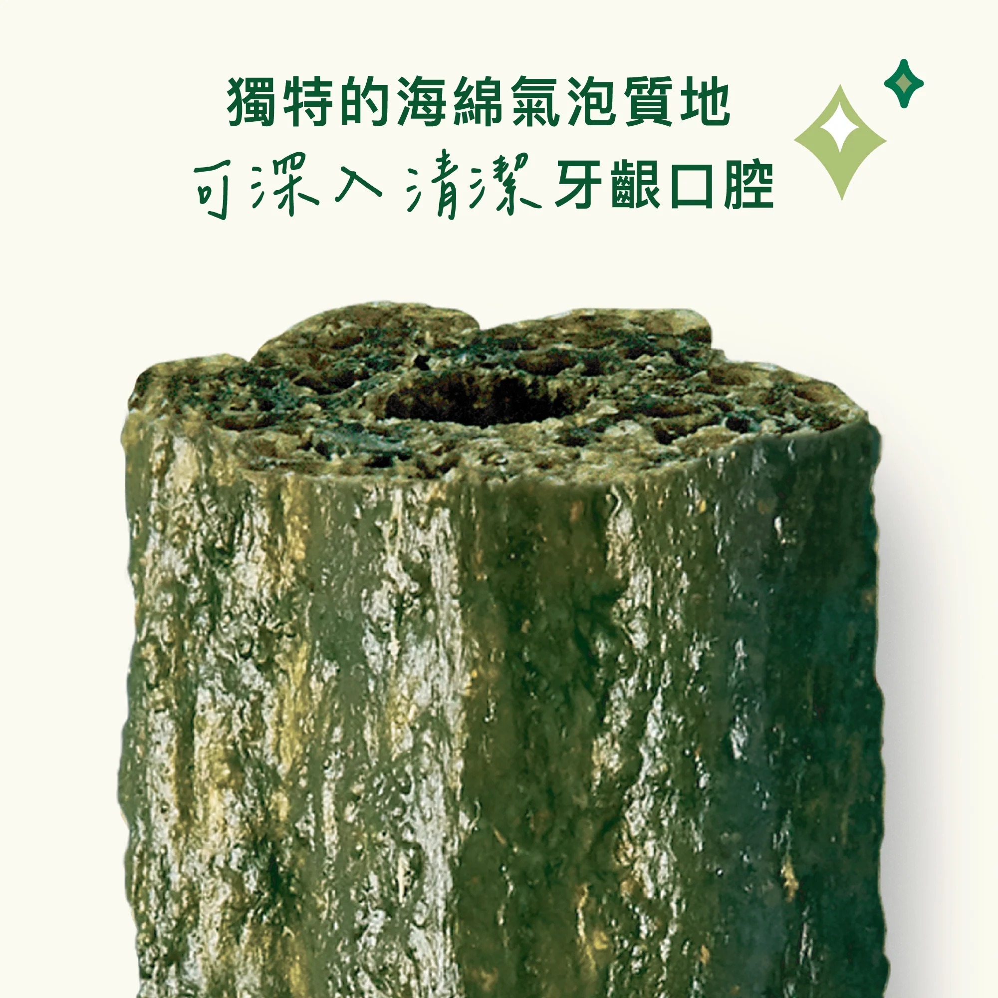 imgi_5_WoofbrushDental-3