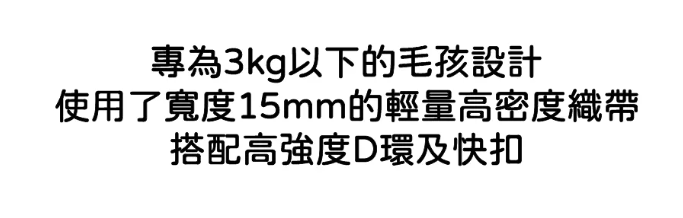 螢幕擷取畫面 2026-01-23 155322