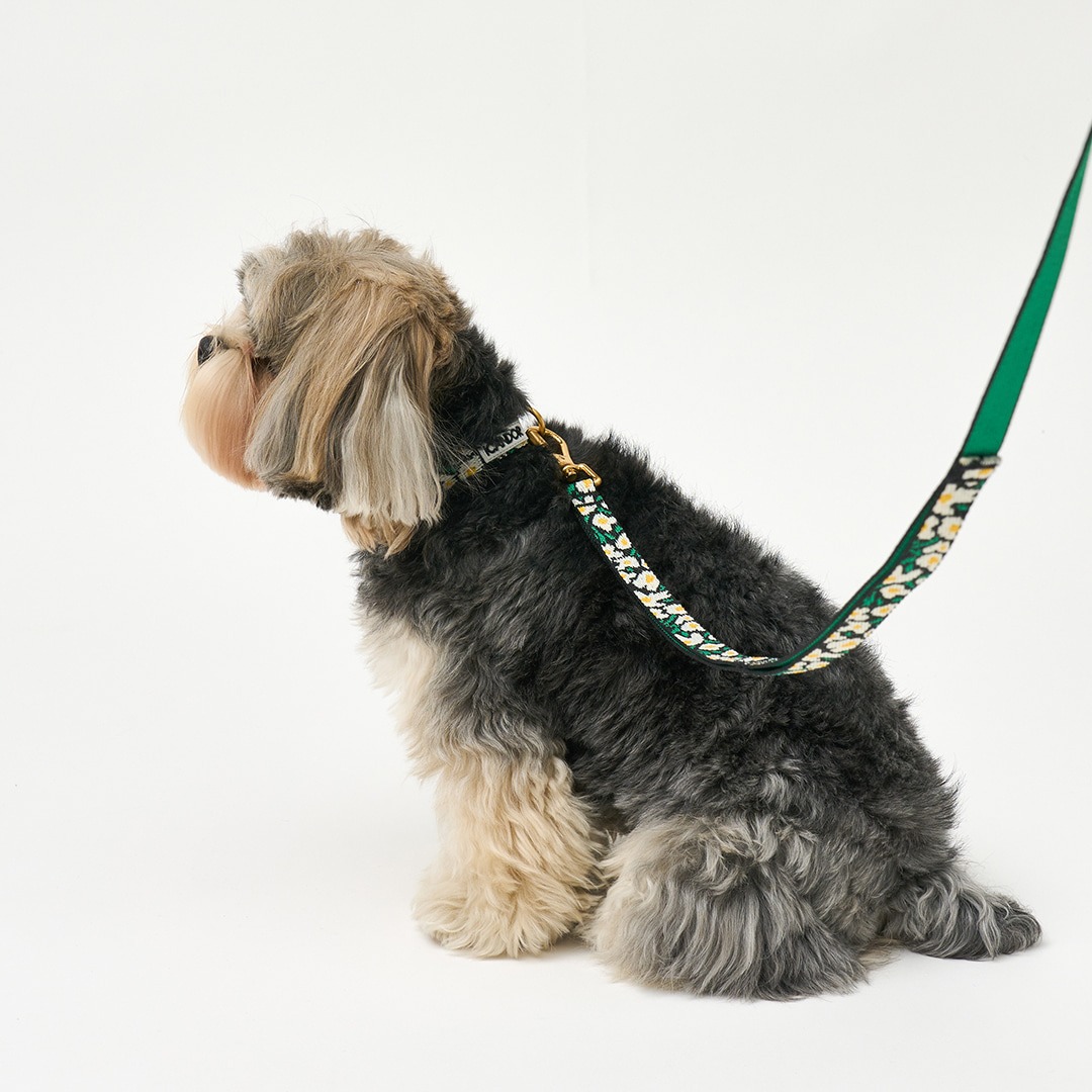 imgi_13_17698616f963acd195c9b752388f4fce