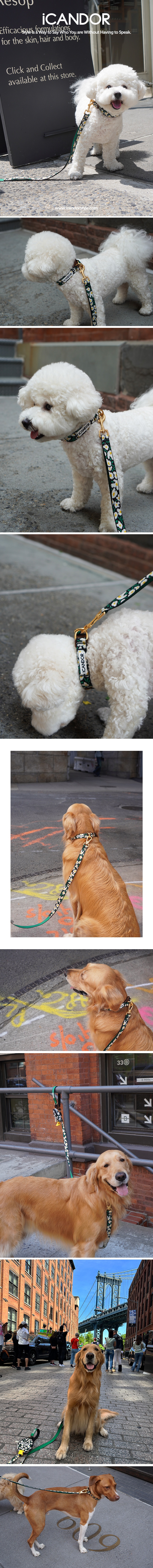 imgi_33_copy-1716801620-1_EC9DB4EBAFB8ECA780_ECA0A0ED8B80ECB9B4EB9DBCEB9380EC96BC_20EBB985ED94BCEC89AC