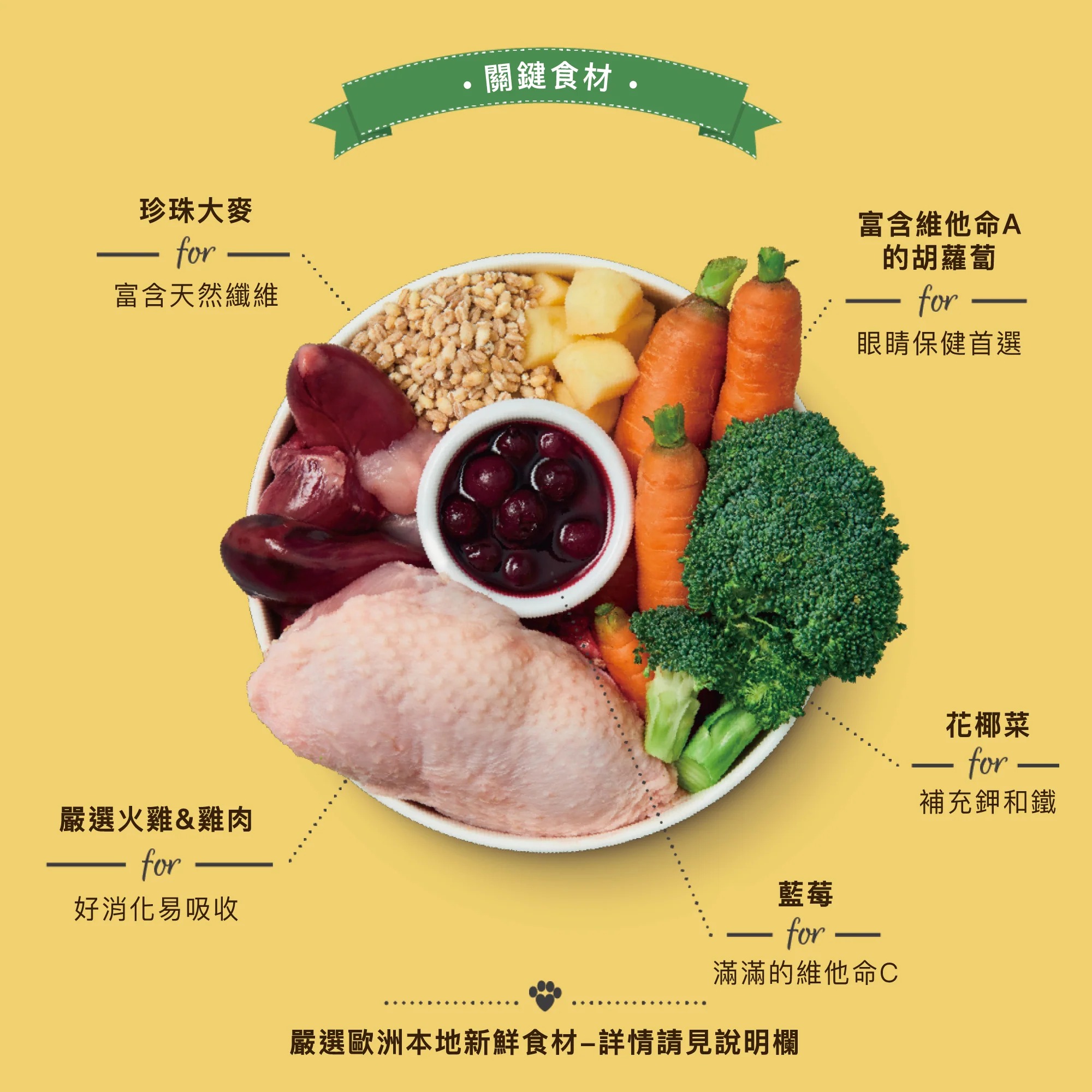 imgi_11_ChickenTurkeyCasserole400-1