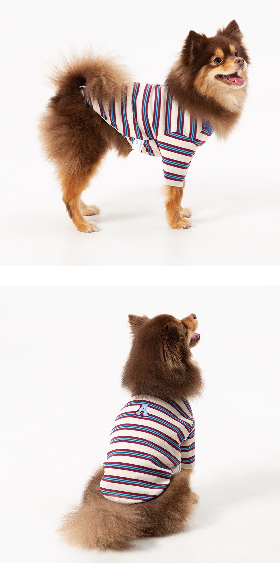 imgi_41_37a73bb2e52873