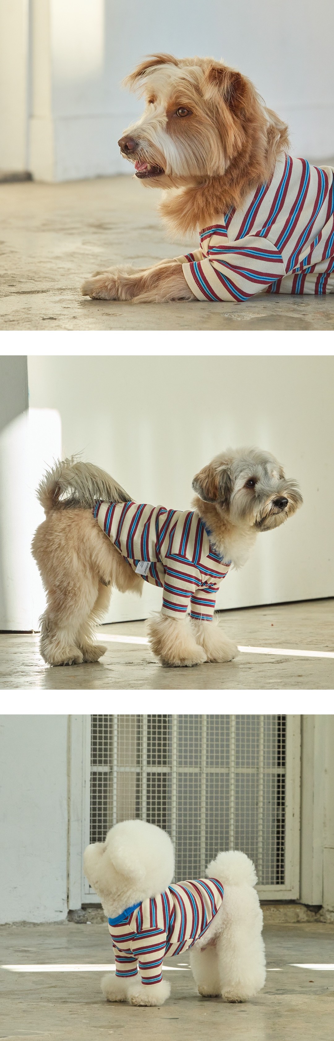 imgi_41_37a73bb2e52874