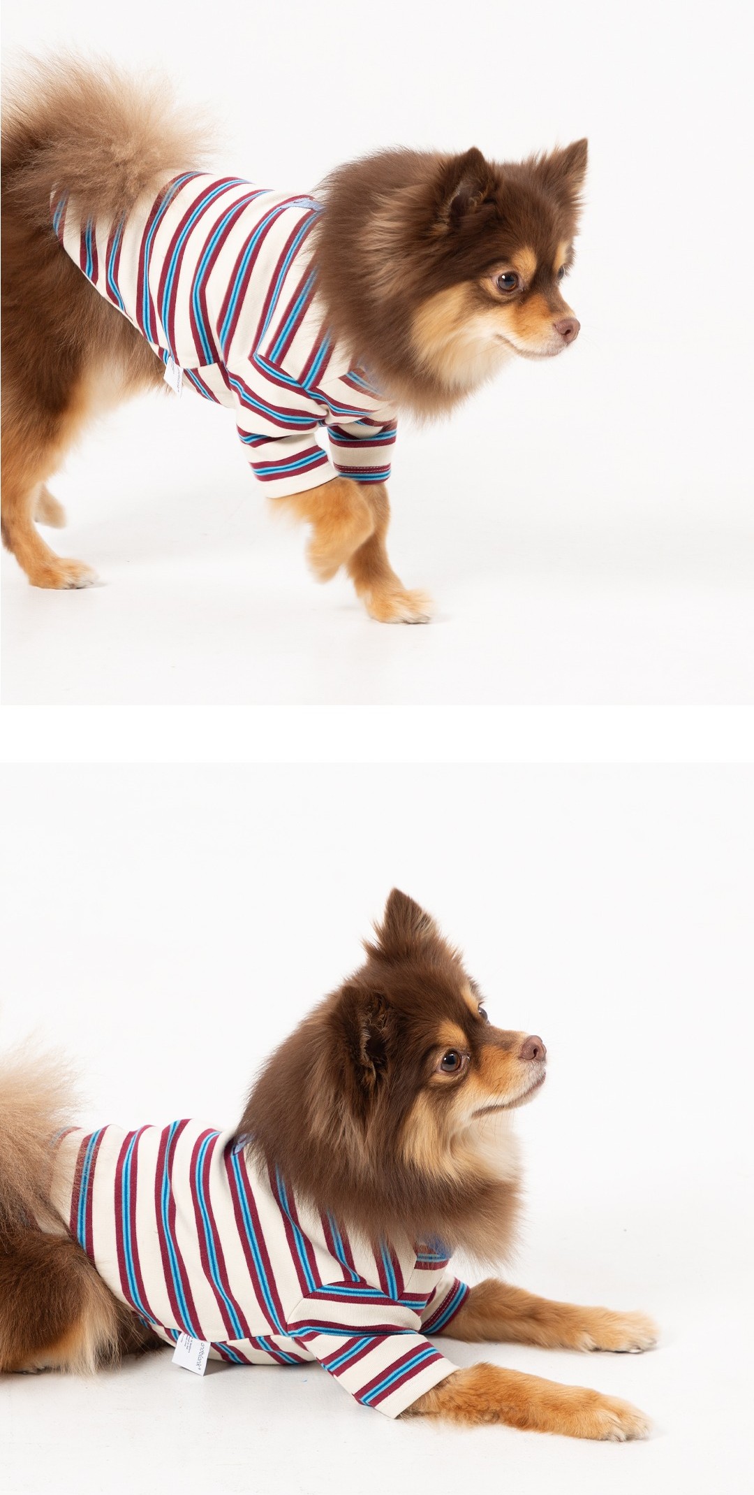 imgi_41_37a73bb2e52877