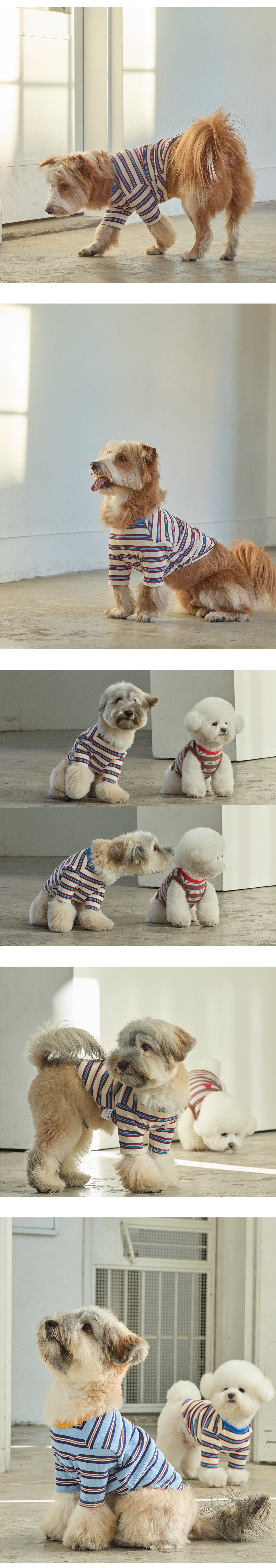 imgi_41_37a73bb2e52878