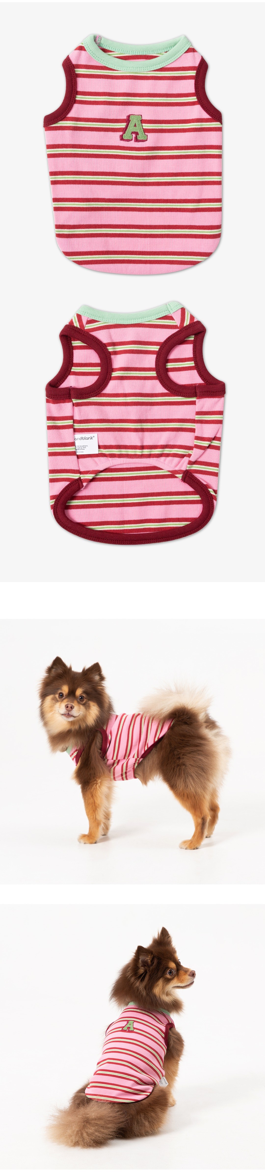 imgi_41_387f90c2e8dd7 (1)2