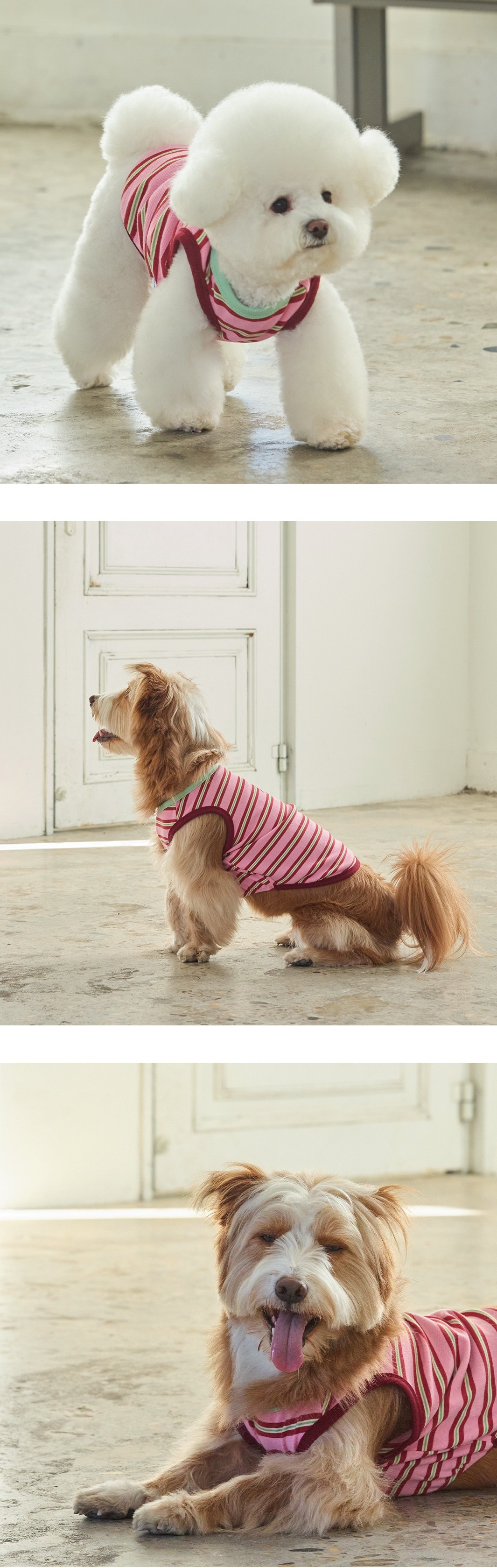 imgi_41_387f90c2e8dd7 (1)3