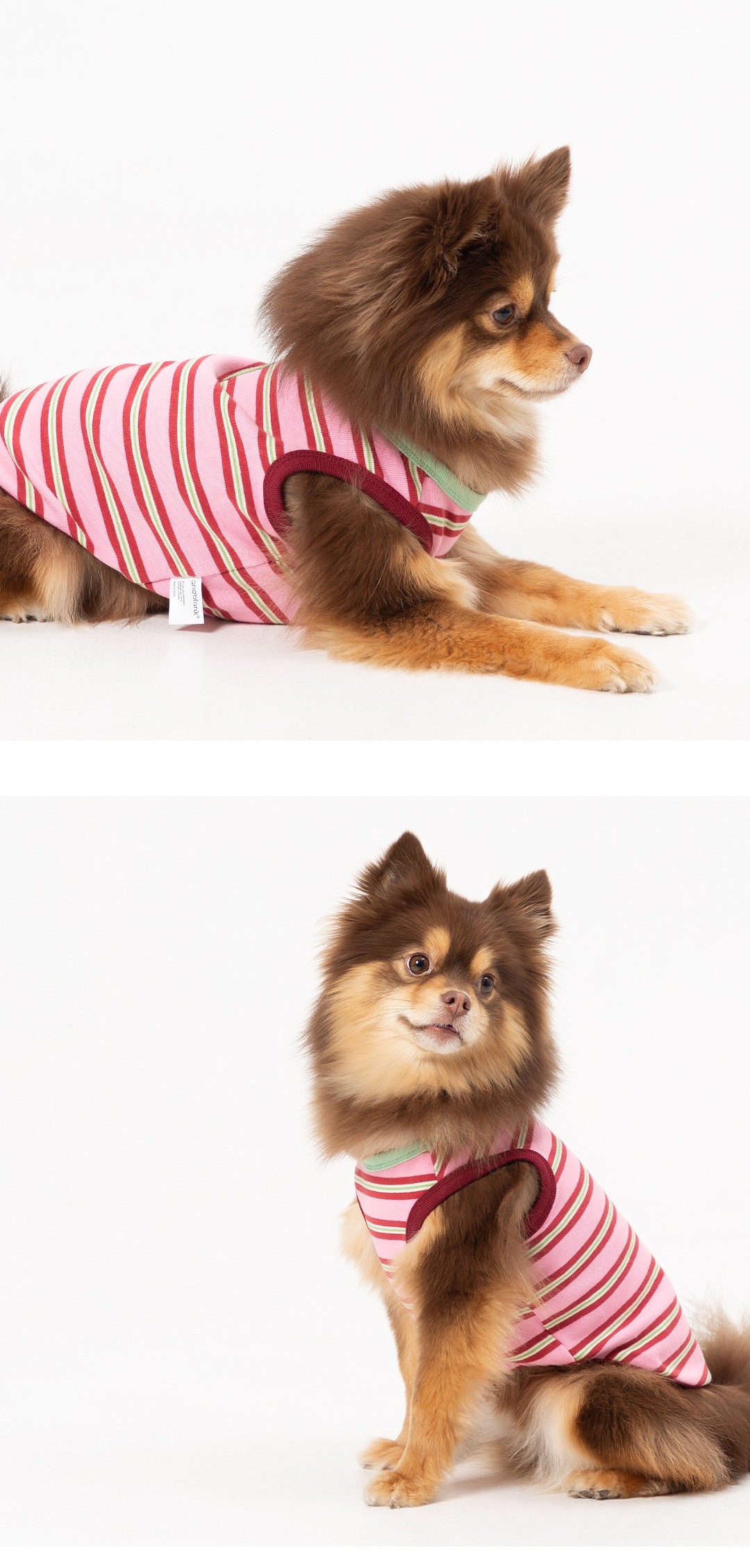 imgi_41_387f90c2e8dd7 (1)6