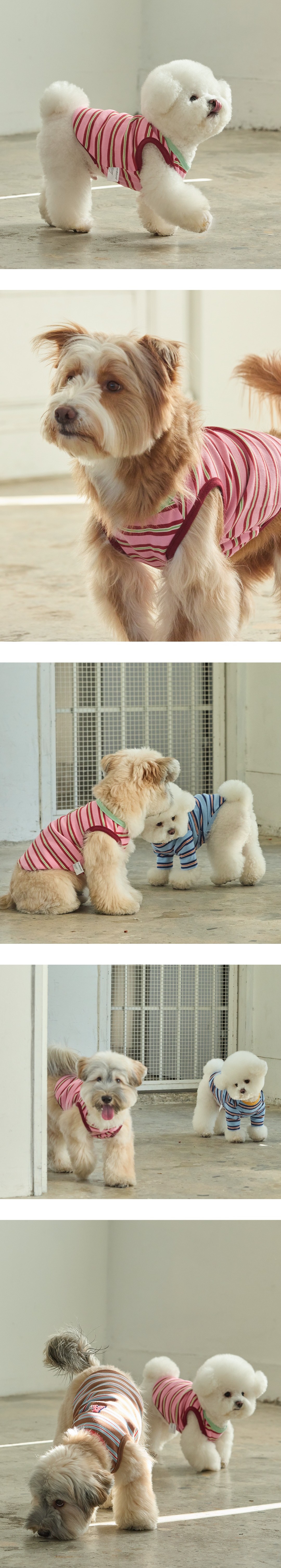 imgi_41_387f90c2e8dd7 (1)7