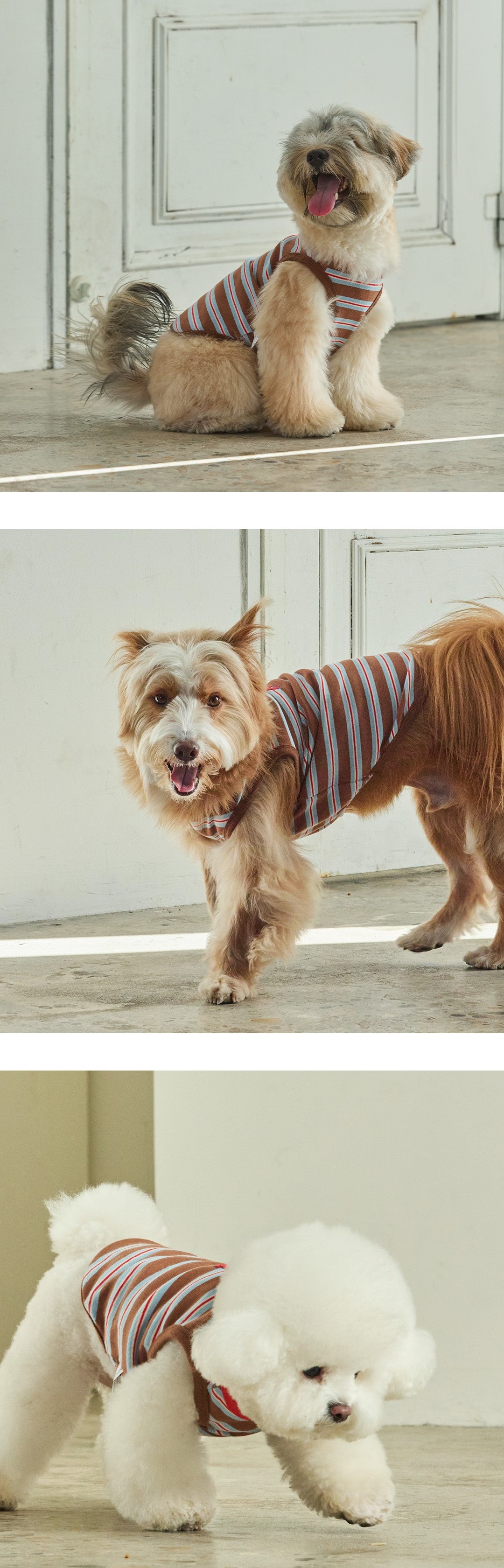 imgi_19_fd7823086347403