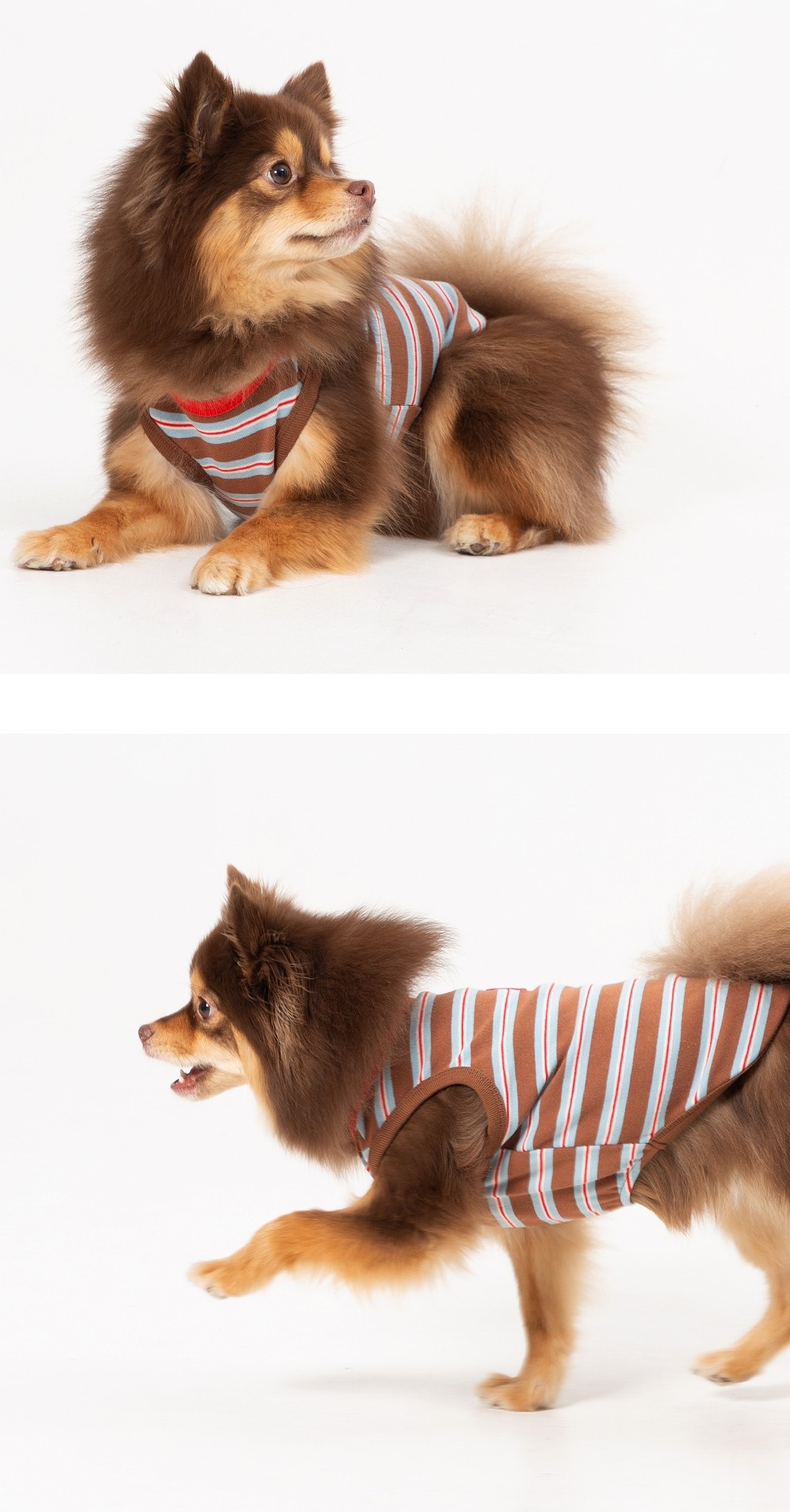 imgi_19_fd7823086347406