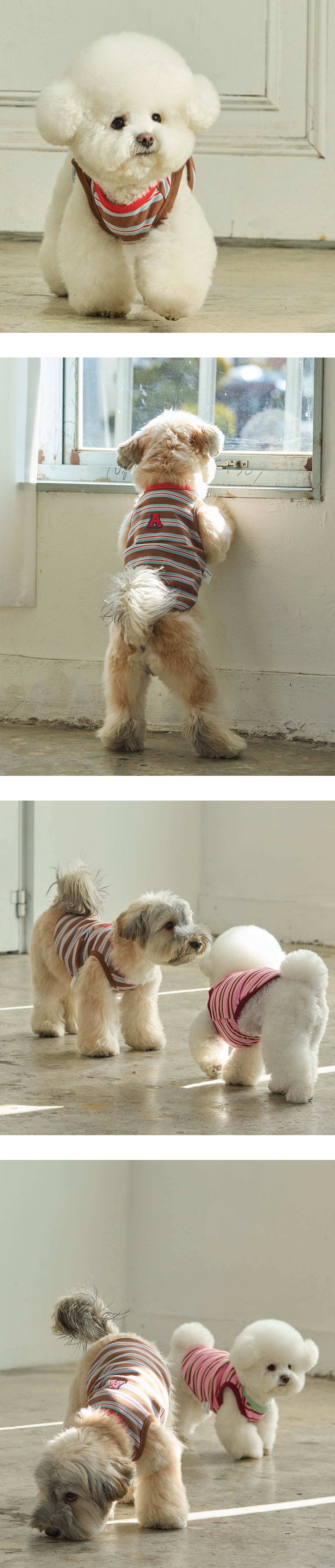 imgi_19_fd7823086347408