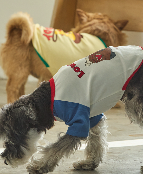  | 貝狗商行｜韓國寵物選品