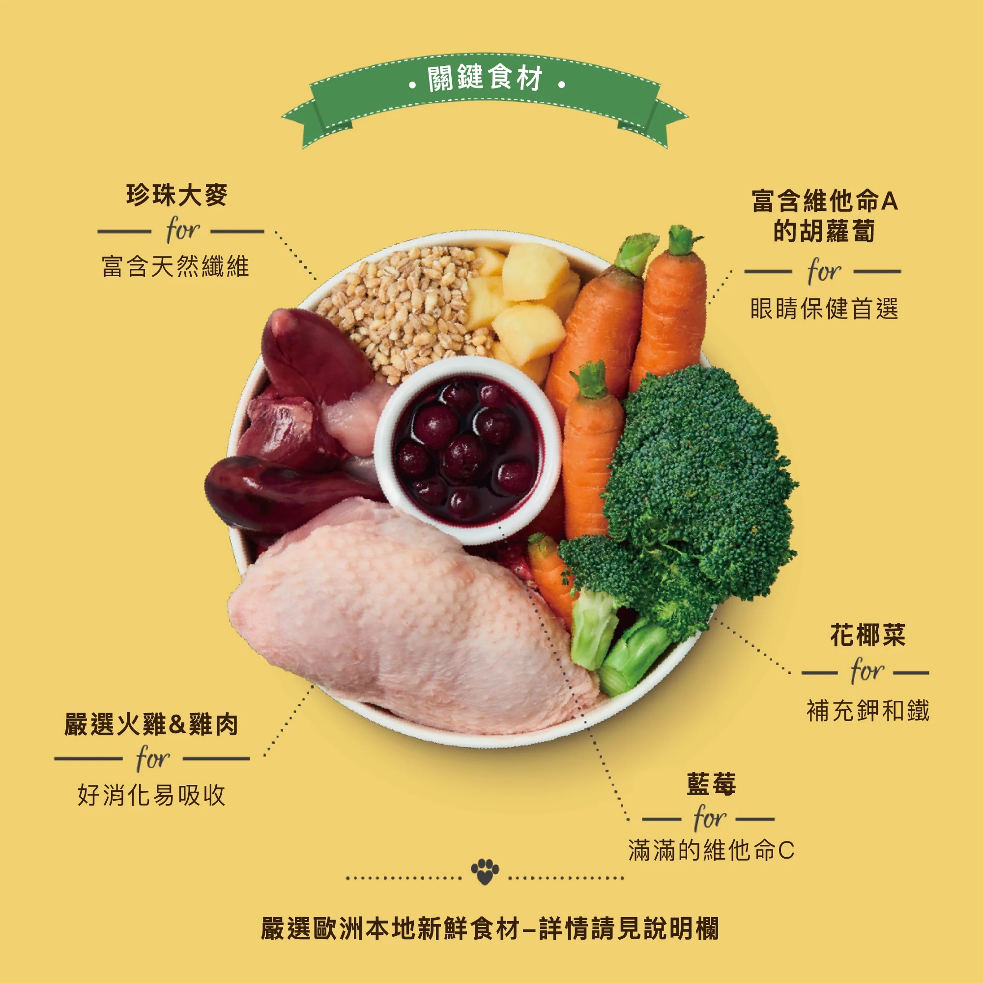 imgi_10_ChickenTurkeyCasserole-1