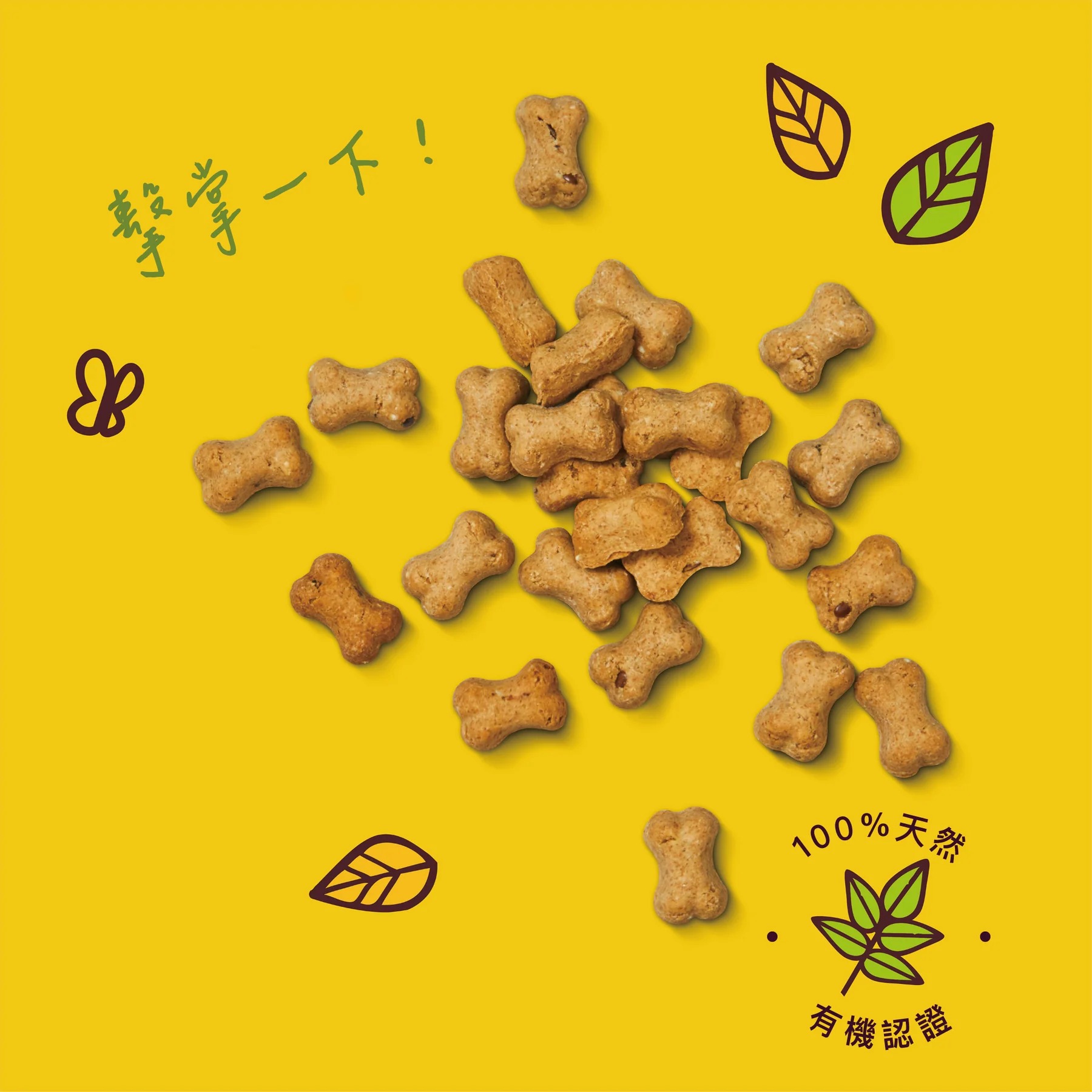 imgi_101_TrainingTreats4