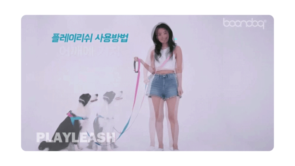 Play-Leash-2.0new1_02