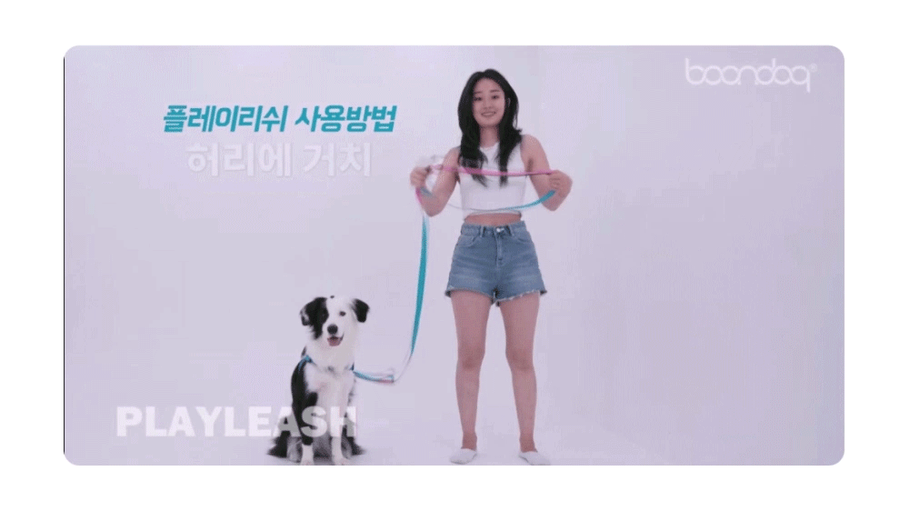 Play-Leash-2.0new1_03