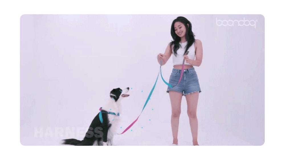 Play-Leash-2.0new1_04