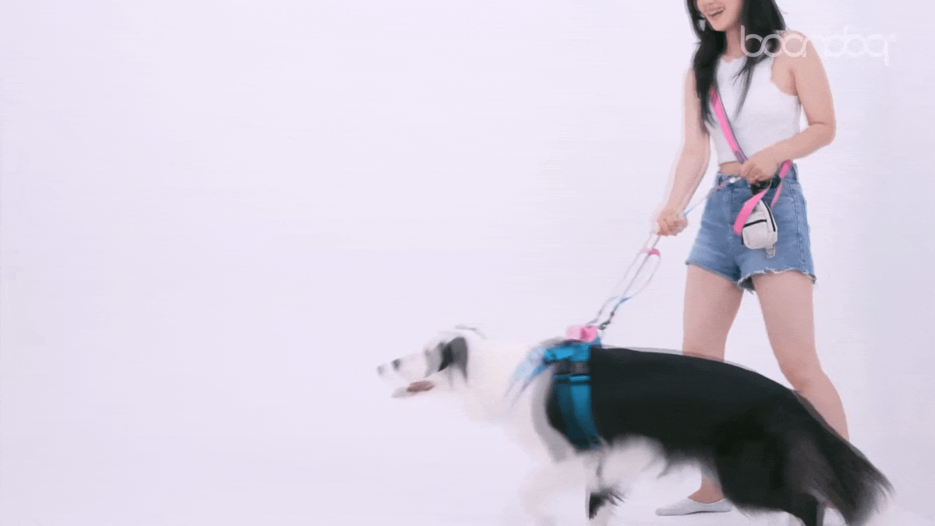 imgi_20_1-분볼_상세페이지2