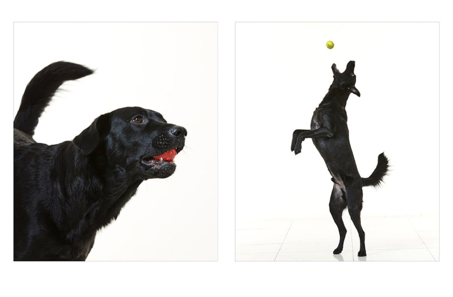 截圖 2026-03-20 下午11.54.32