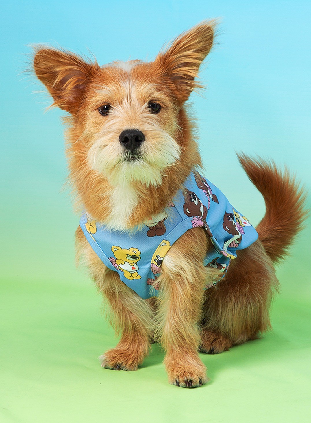 imgi_147_86f9b7a9553f9