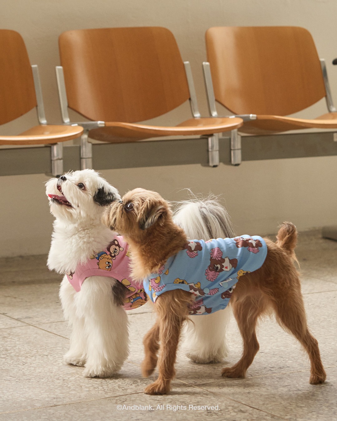 imgi_146_82a4a17799bb7