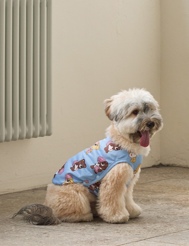 imgi_10_20bf19b706748