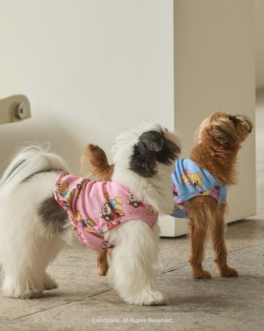 imgi_151_de04e322388d4