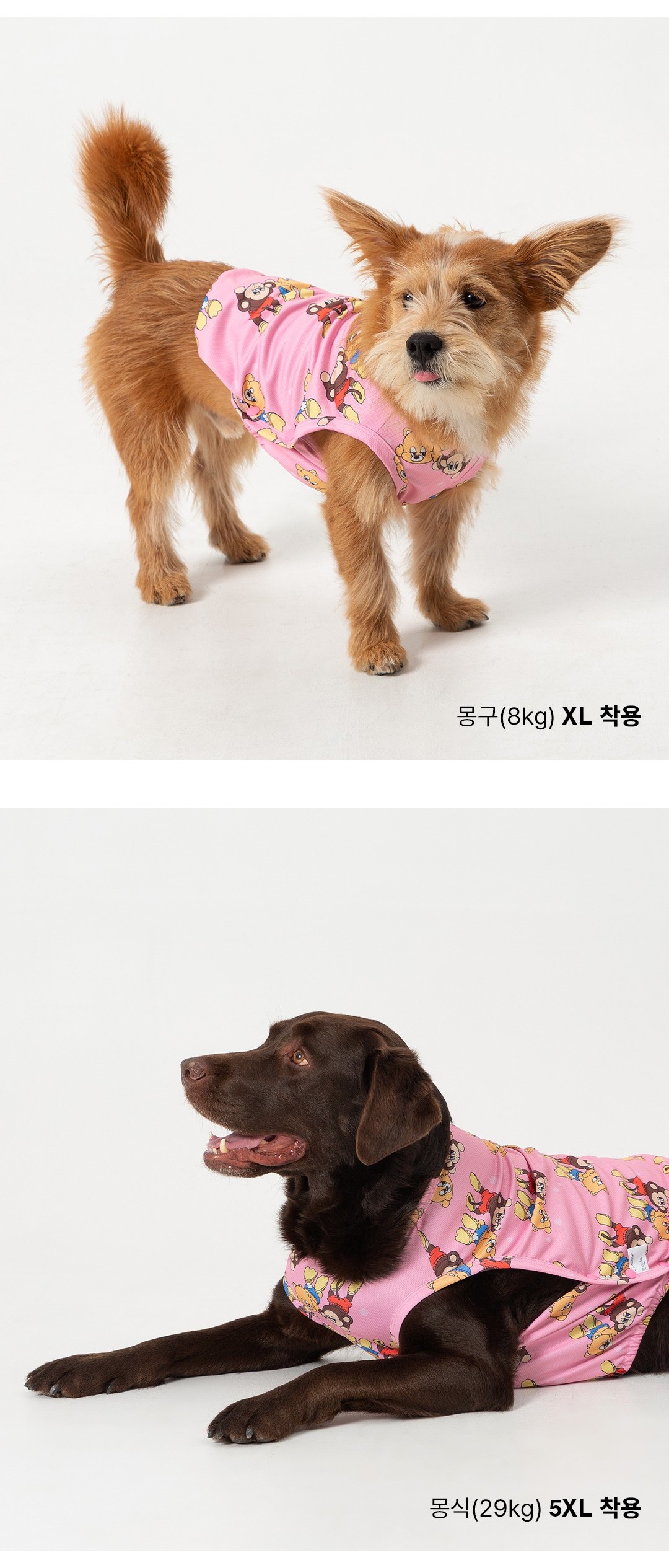 imgi_88_ee0d4aca2fc608585