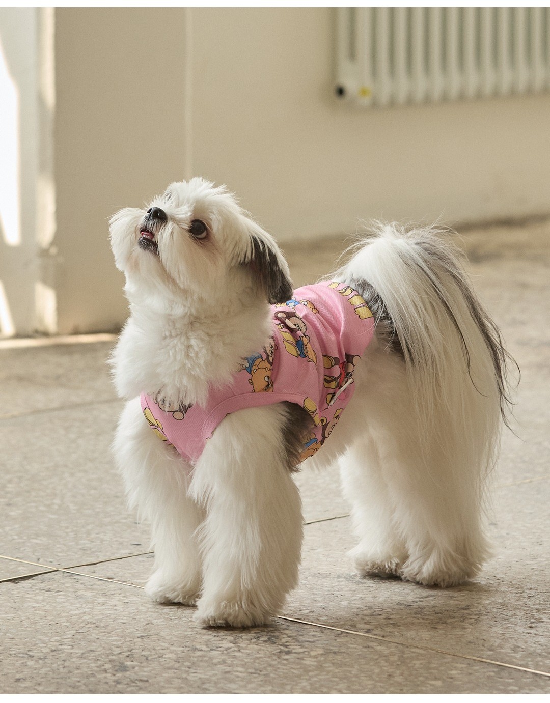 imgi_88_ee0d4aca2fc6045454444