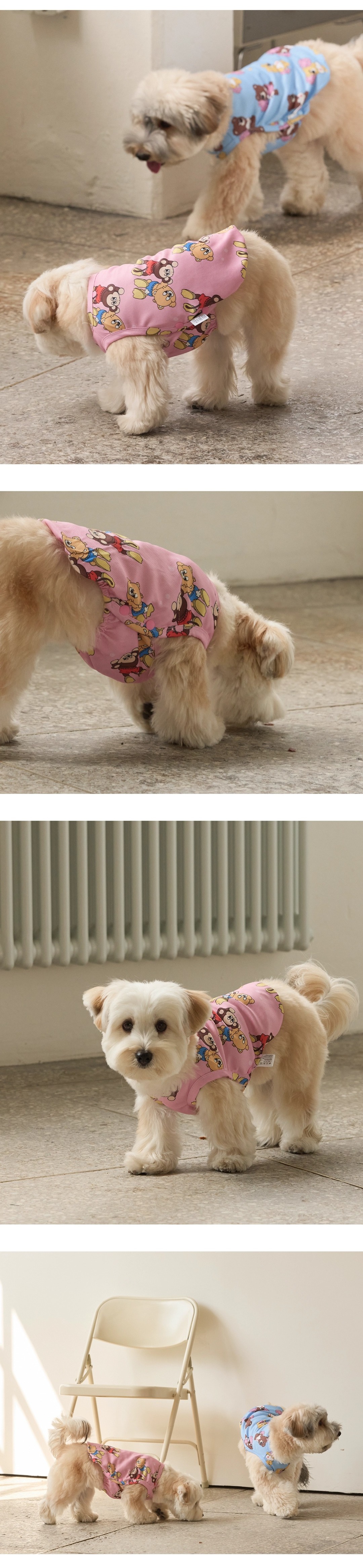 imgi_109_4ddb4a8199b64555