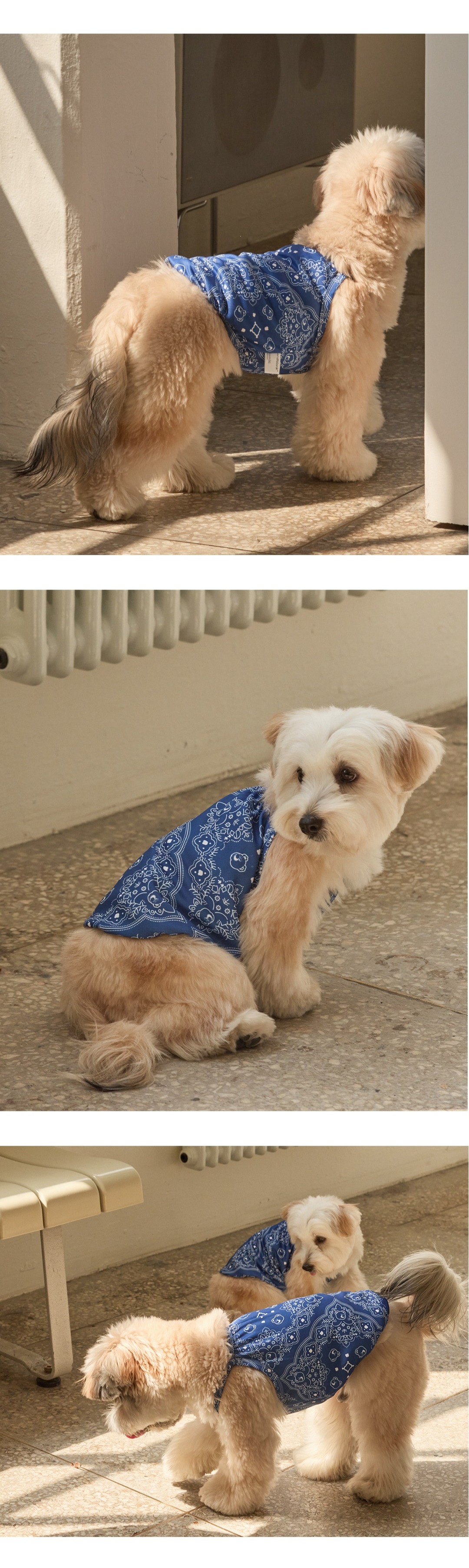 imgi_129_6829355b3d3547575